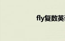 fly复数英语 fly复数 