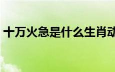 十万火急是什么生肖动物 十万火急打一动物 