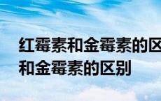 红霉素和金霉素的区别鼻炎用哪种好 红霉素和金霉素的区别 