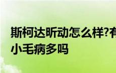 斯柯达昕动怎么样?有没有开过的 斯柯达昕动小毛病多吗 