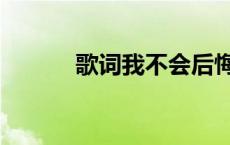 歌词我不会后悔 我不会再后悔 