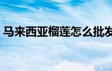 马来西亚榴莲怎么批发到中国 马来西亚榴莲 