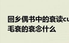 回乡偶书中的衰读cui还是shuai 乡音无改鬓毛衰的衰念什么 