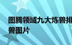 图腾领域九大炼兽排名图片 图腾领域九大炼兽图片 