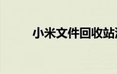 小米文件回收站没了 回收站没了 