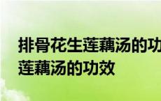 排骨花生莲藕汤的功效与作用禁忌 排骨花生莲藕汤的功效 