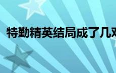 特勤精英结局成了几对? 特勤精英角色介绍 