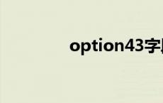 option43字段 option43 