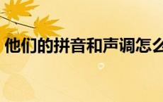 他们的拼音和声调怎么写 他们的拼音是几声 