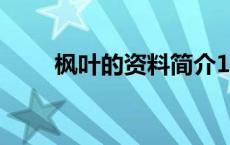 枫叶的资料简介100字 枫叶的资料 