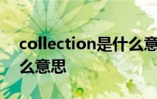 collection是什么意思中文 collection是什么意思 