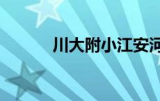 川大附小江安河分校 川大附小 