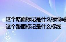 这个路面标记是什么标线a禁驶区b网状线c中心圈d导流线 这个路面标记是什么标线 