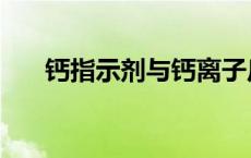 钙指示剂与钙离子反应颜色 钙指示剂 