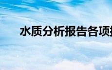 水质分析报告各项指标 水质分析报告 