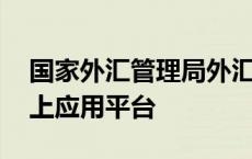 国家外汇管理局外汇平台 国家外汇管理局网上应用平台 