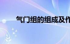 气门组的组成及作用 气门组的组成 