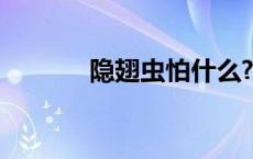 隐翅虫怕什么? 隐翅虫怕什么 