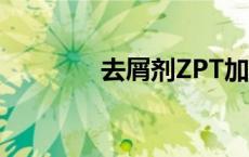 去屑剂ZPT加入 去屑剂zpt 