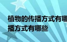 植物的传播方式有哪些二年级仿写 植物的传播方式有哪些 
