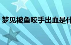 梦见被鱼咬手出血是什么征兆 梦见被鱼咬手 