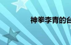 神拳李青的台词 拳神李青 