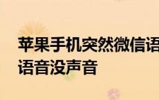 苹果手机突然微信语音没声音 苹果手机微信语音没声音 