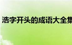 浩字开头的成语大全集味同 浩字开头的成语 