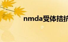 nmda受体拮抗剂 nmda受体 