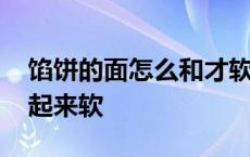 馅饼的面怎么和才软而不破 馅饼面怎么和吃起来软 