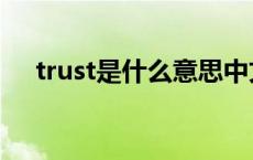 trust是什么意思中文 trust是什么意思 