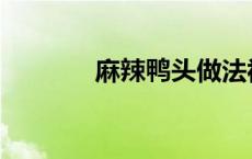 麻辣鸭头做法视频 麻辣鸭头 