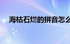 海枯石烂的拼音怎么写 海枯石烂的拼音 