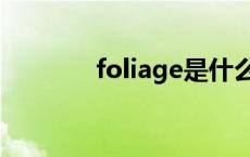 foliage是什么颜色 foliage 