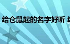 给仓鼠起的名字好听 给仓鼠取名字呆萌些的 