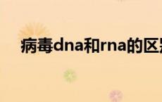 病毒dna和rna的区别 dna和rna的区别 