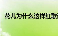 花儿为什么这样红歌词 花儿为什么这样红 