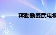 蒋勤勤姜武电视剧 姜武电视剧 