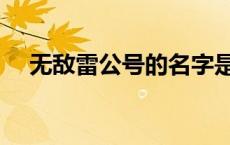 无敌雷公号的名字是谁取的 无敌雷公号 