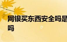 网银买东西安全吗是真的吗 网银买东西安全吗 