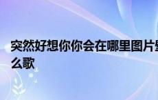 突然好想你你会在哪里图片壁纸 突然好想你你会在哪里是什么歌 