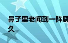 鼻子里老闻到一阵腐臭味 萎缩性鼻炎能活多久 