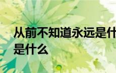 从前不知道永远是什么歌名 从前不知道永远是什么 