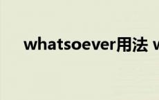 whatsoever用法 whatsoever同义词 