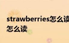 strawberries怎么读英语发音 strawberries怎么读 