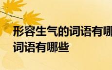 形容生气的词语有哪些两个字的 形容生气的词语有哪些 