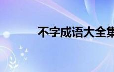 不字成语大全集 不字成语大全 