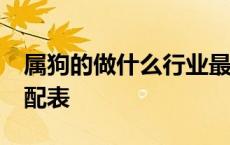 属狗的做什么行业最赚钱 82年属狗的属相婚配表 