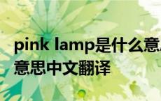 pink lamp是什么意思中文翻译 lamp是什么意思中文翻译 