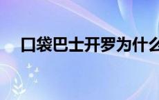 口袋巴士开罗为什么没了 口袋巴士开罗 